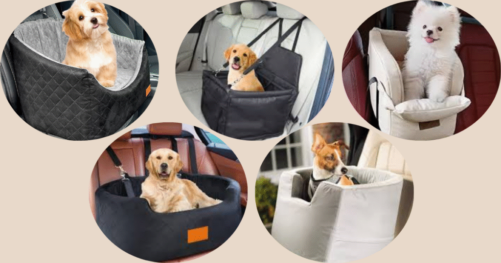 Best Dog Car Seats