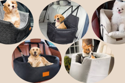 Best Dog Car Seats
